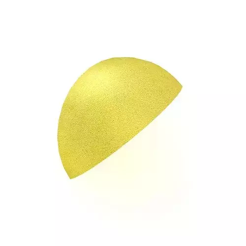 Lemon 2 sanding disc 3D model 5