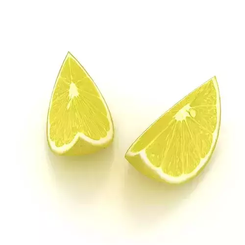 Lemon 2 sanding disc 3D model