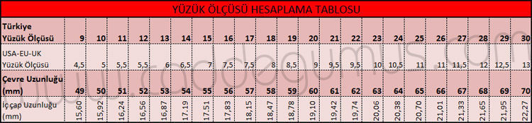 All size of Anima dulcis vivas mecum written ring 3D print model_10