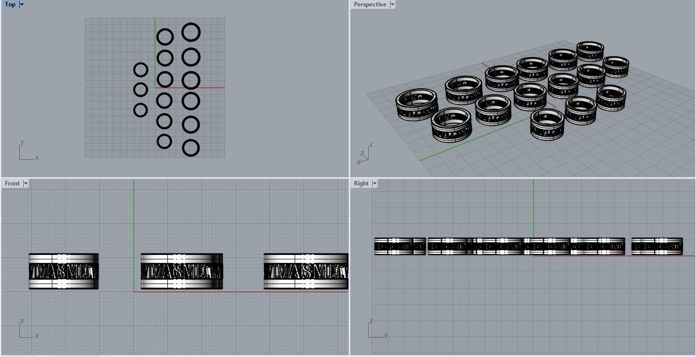 All size of Anima dulcis vivas mecum written ring 3D print model_5