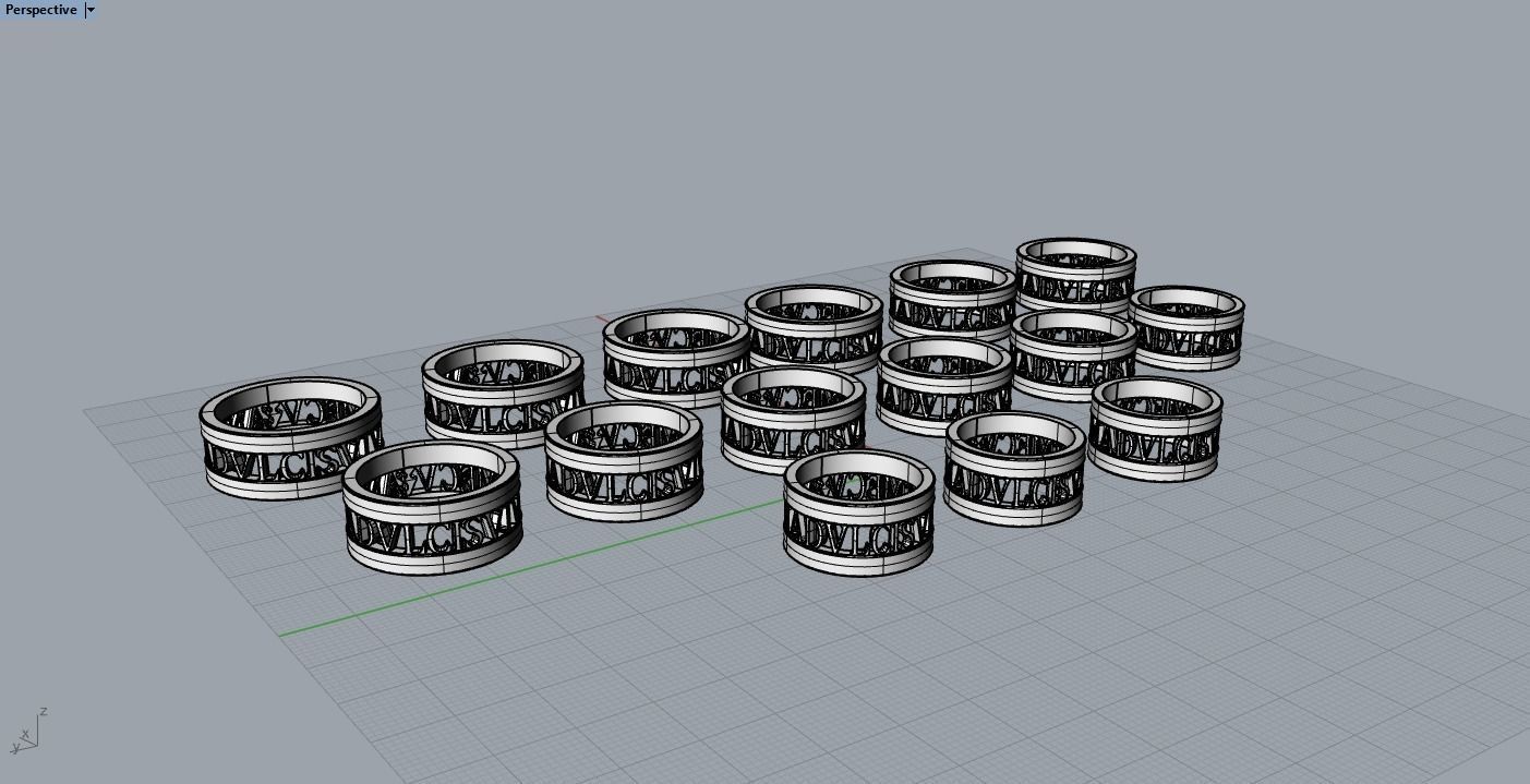All size of Anima dulcis vivas mecum written ring 3D print model_4