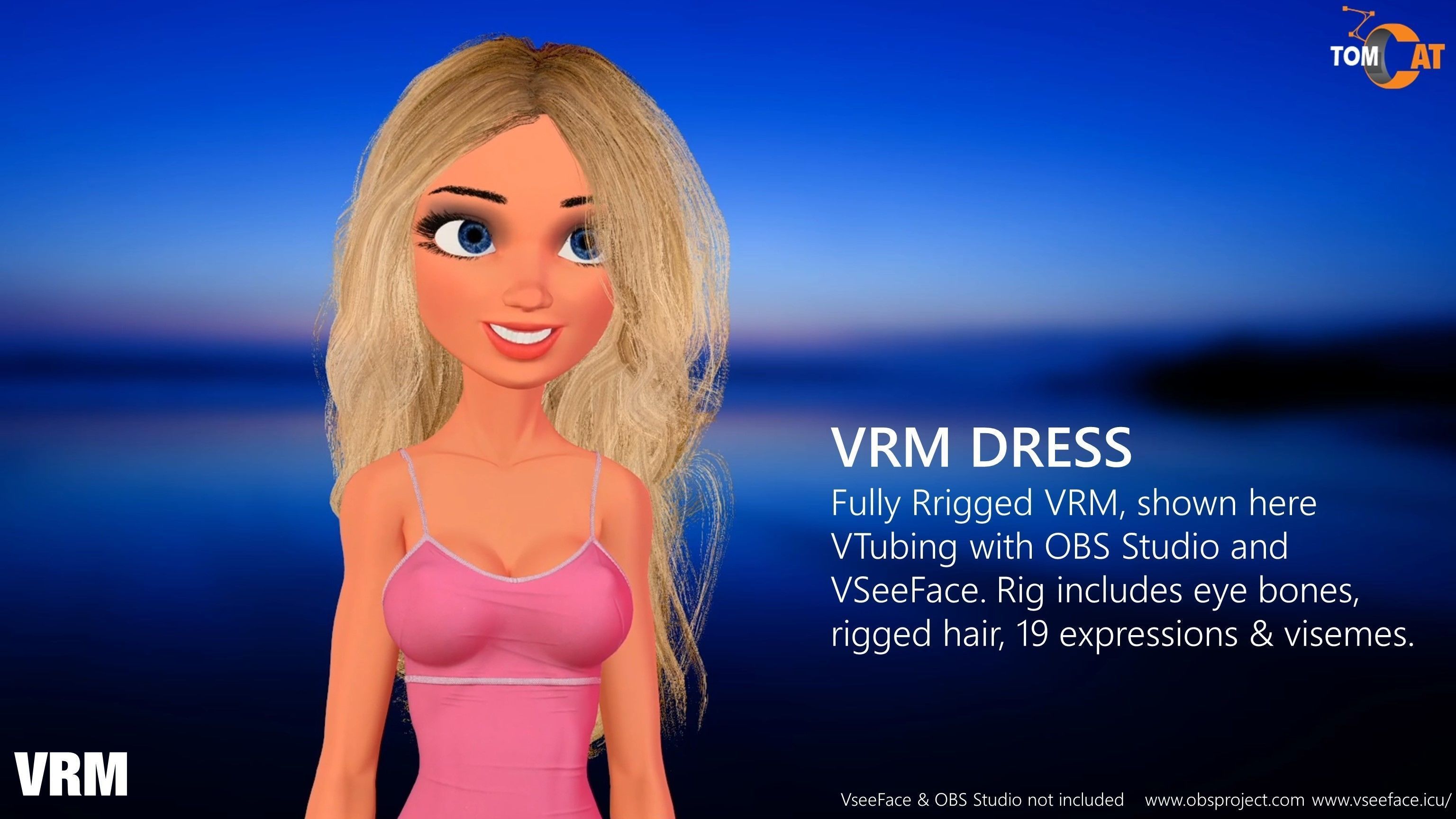 California Girl Rigged Character for Blender and Vtubing 3D model_18