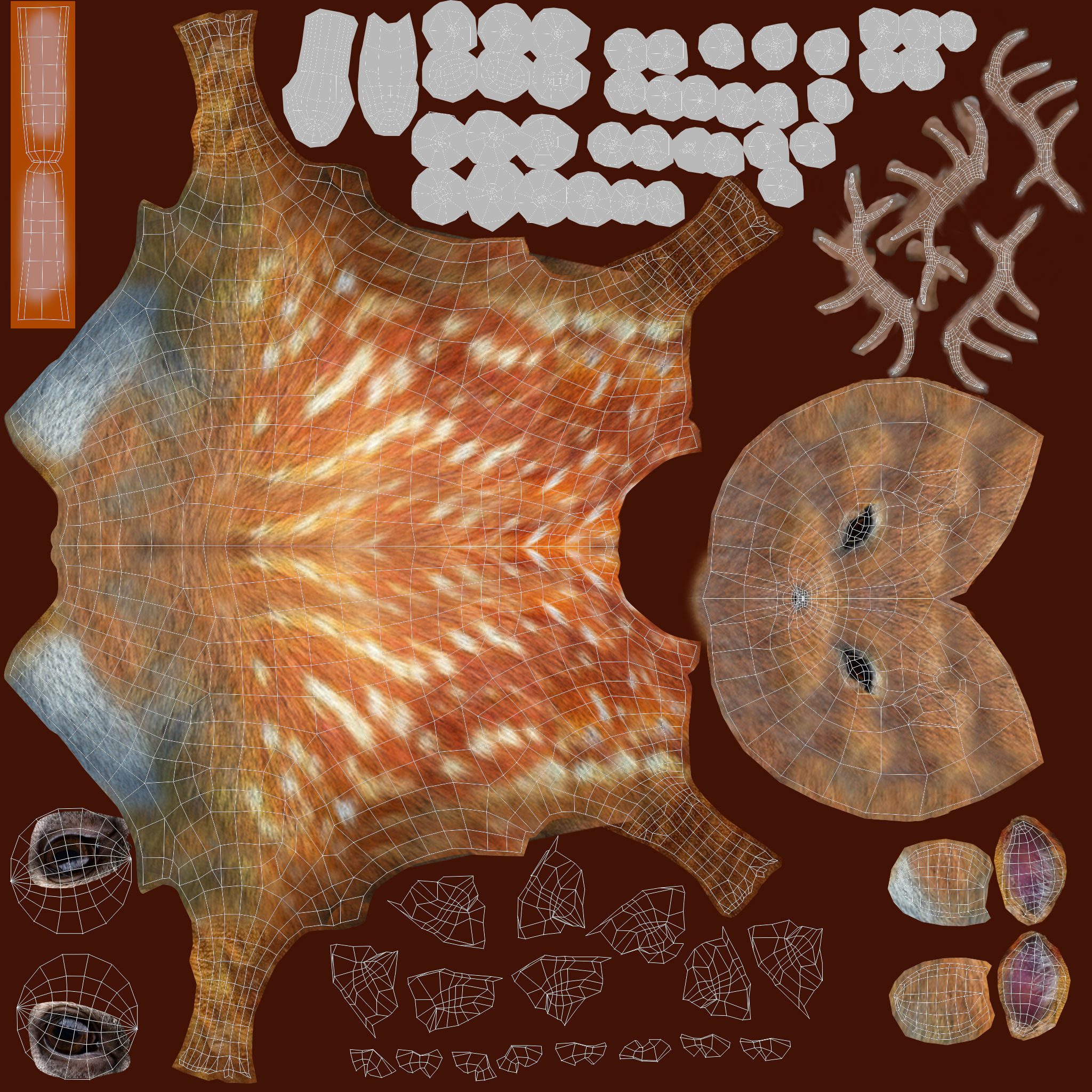 Fur Red Deer Stag NO RIG Low-poly 3D model_8