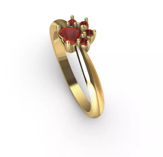 Ring footprint anillo huella 3D print model