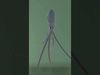 Octopus for Blender 3D model_1
