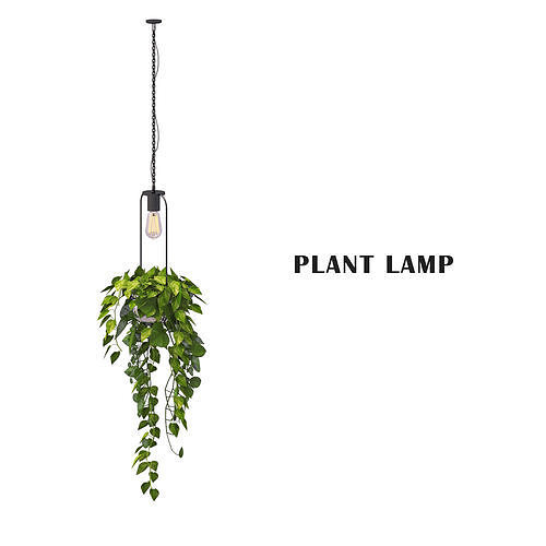 Plant lamp 3D model