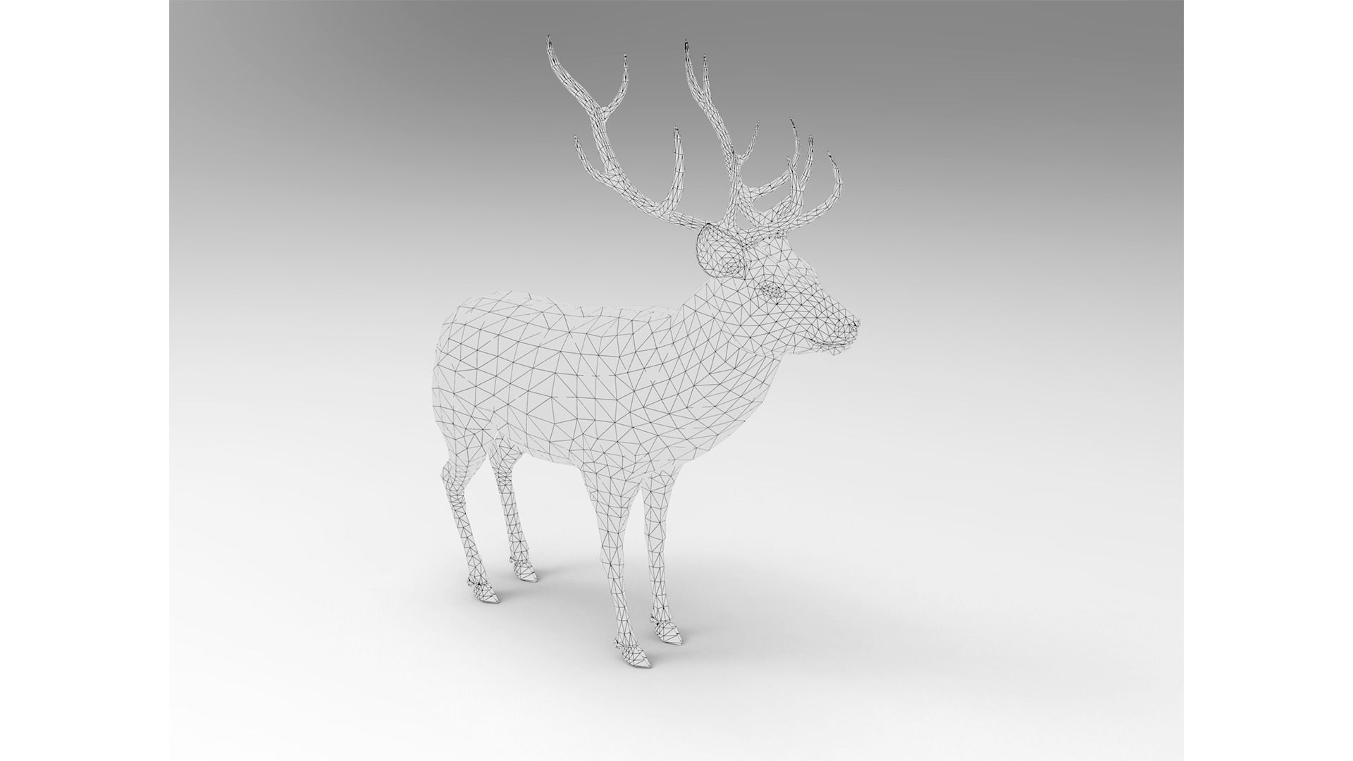 Fur Gray stag Deer NO RIG Low-poly 3D model_13