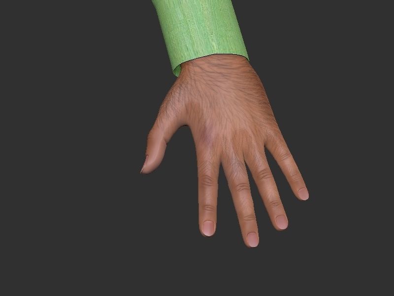 Narendra Modi model for Rigging and Animation 3D model | CGTrader