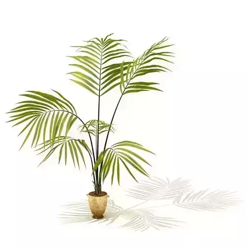 Decorative Bamboo Potted Plant