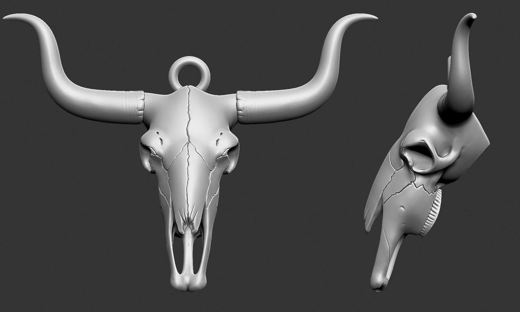 LongHorn Cow Skull 3D print model_1