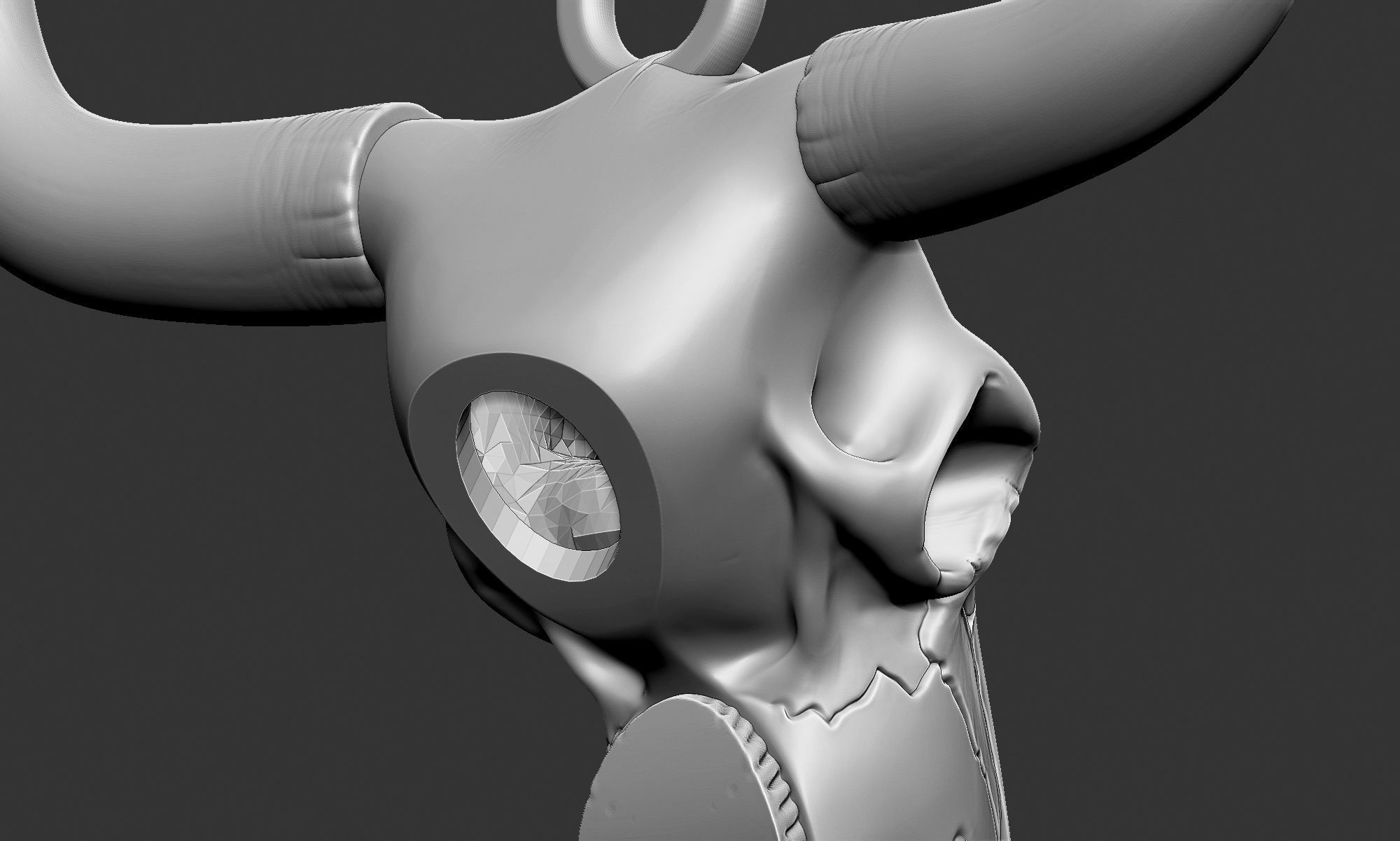 LongHorn Cow Skull 3D print model_6