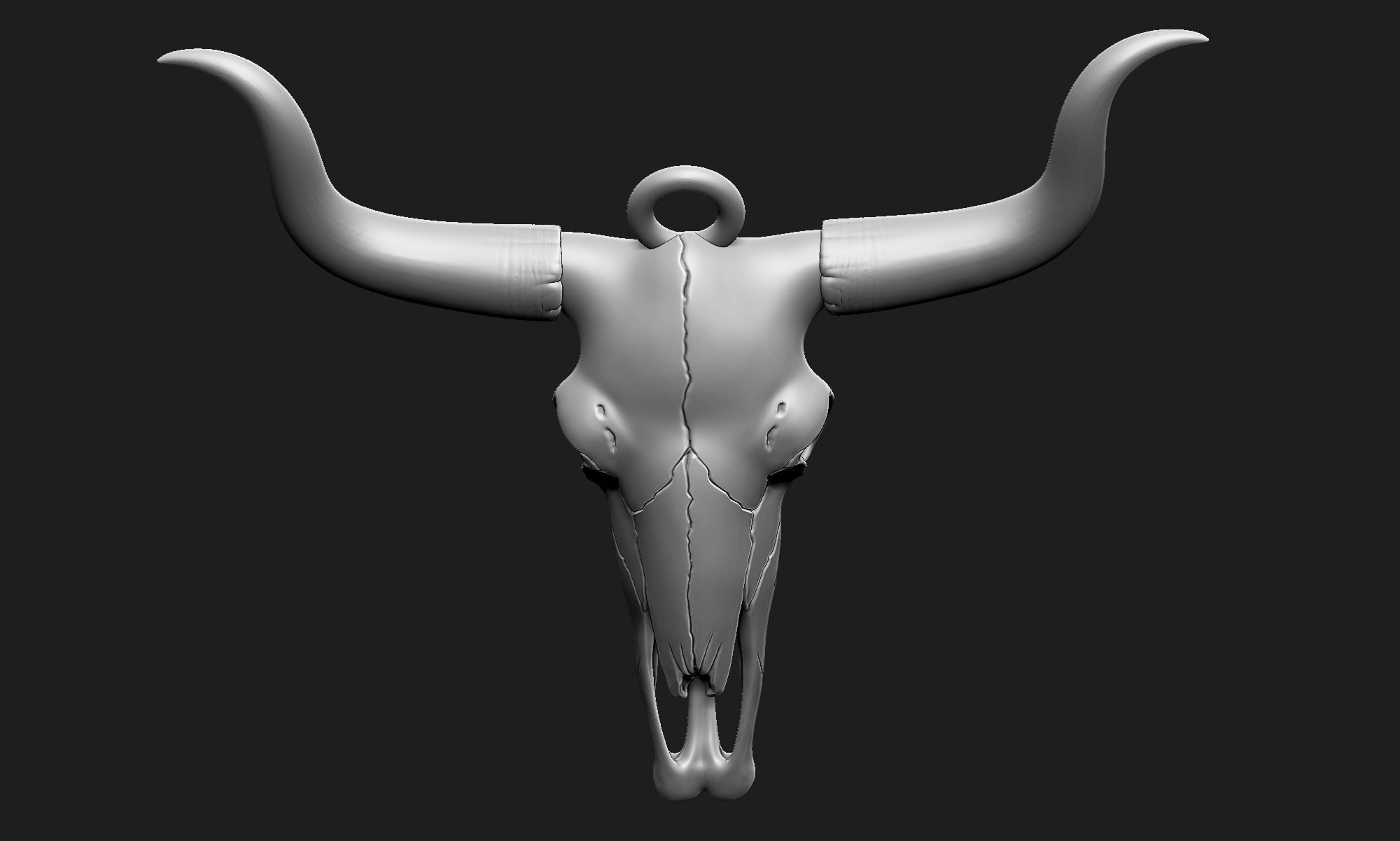 LongHorn Cow Skull 3D print model_4