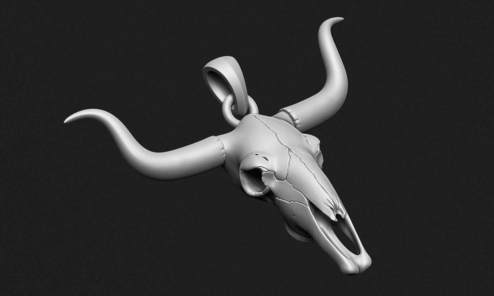 LongHorn Cow Skull 3D print model_2