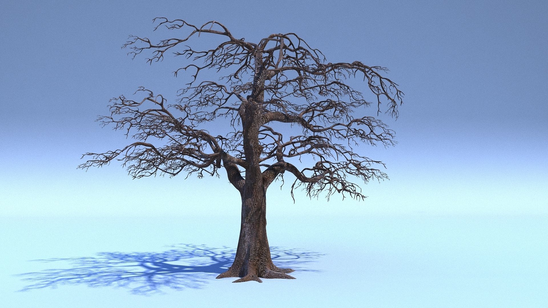 Tree 3D Model with V-Ray Materials 3D model_4