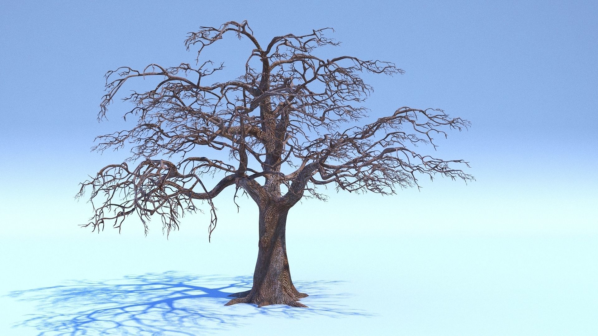Tree 3D Model with V-Ray Materials 3D model_1