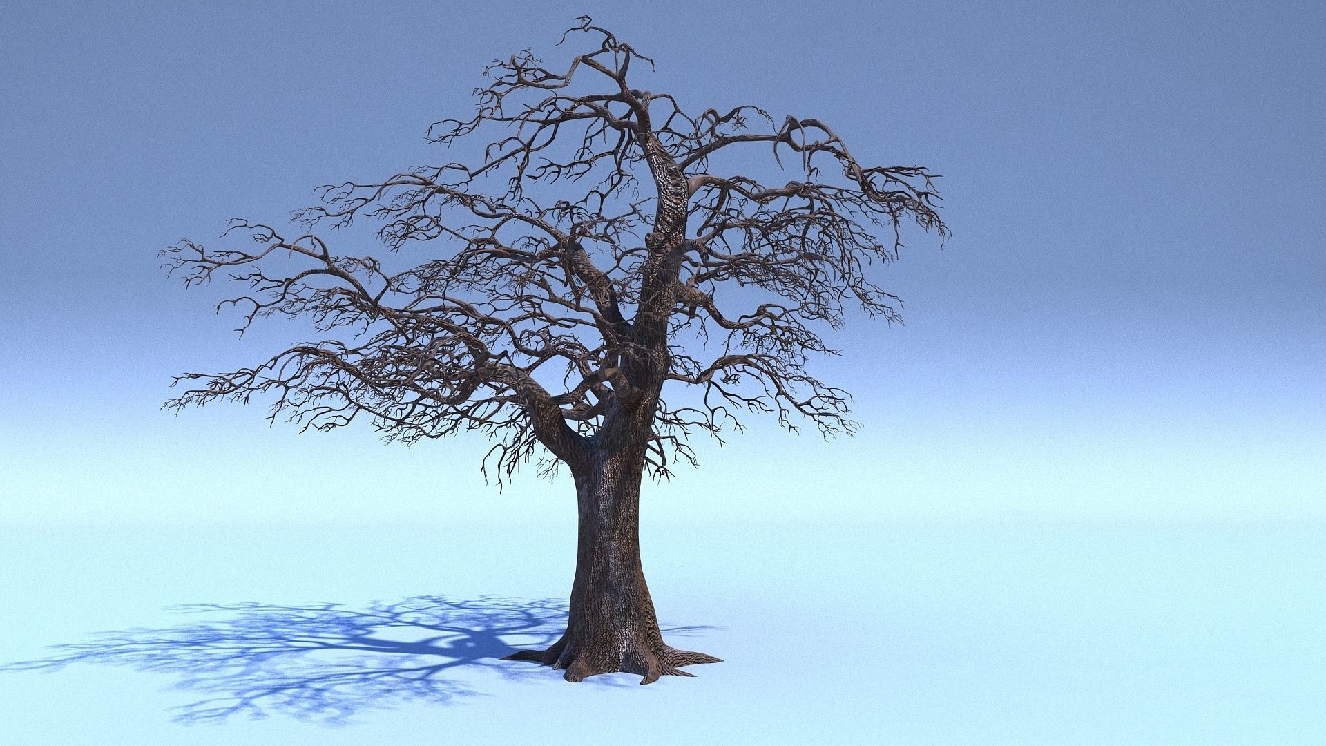 Tree 3D Model with V-Ray Materials 3D model_2