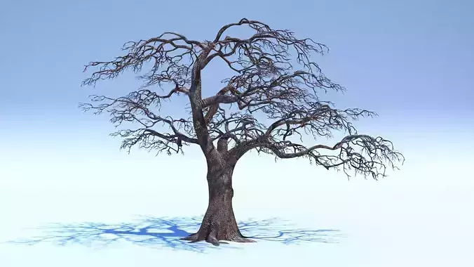Tree 3D Model with V-Ray Materials 3D model