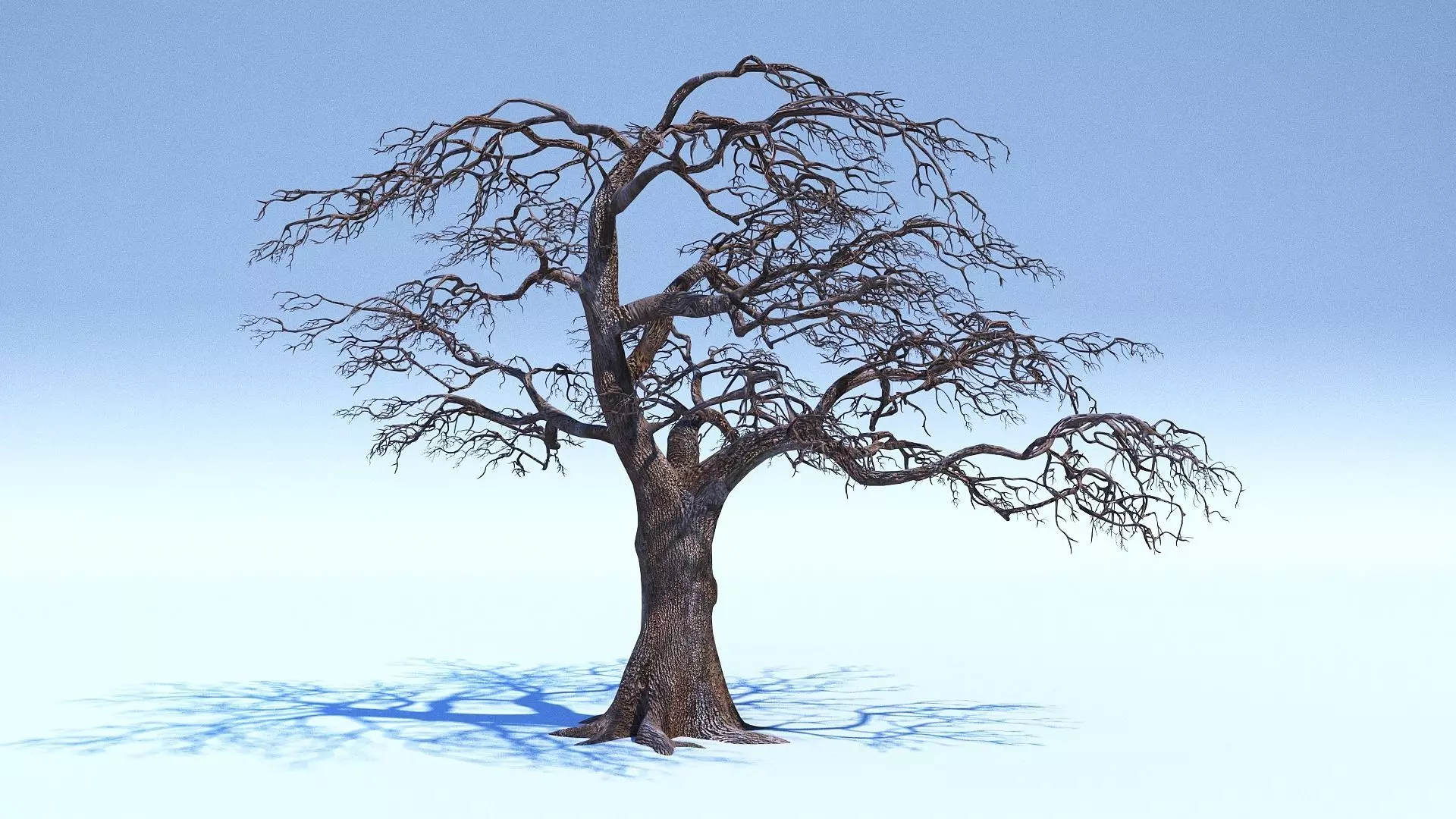 Tree 3D Model with V-Ray Materials 3D model_0