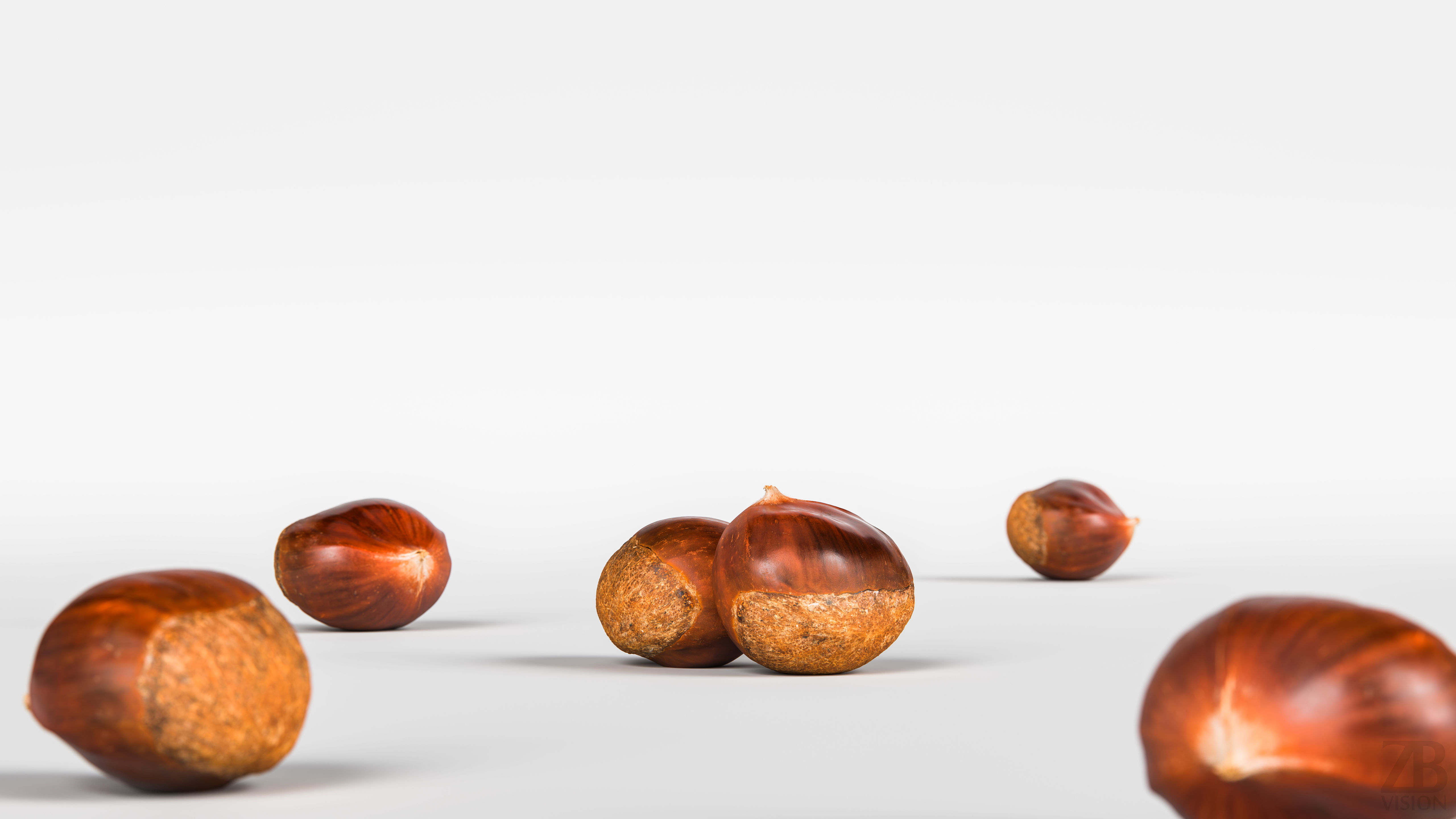 Chestnut 3D model_1