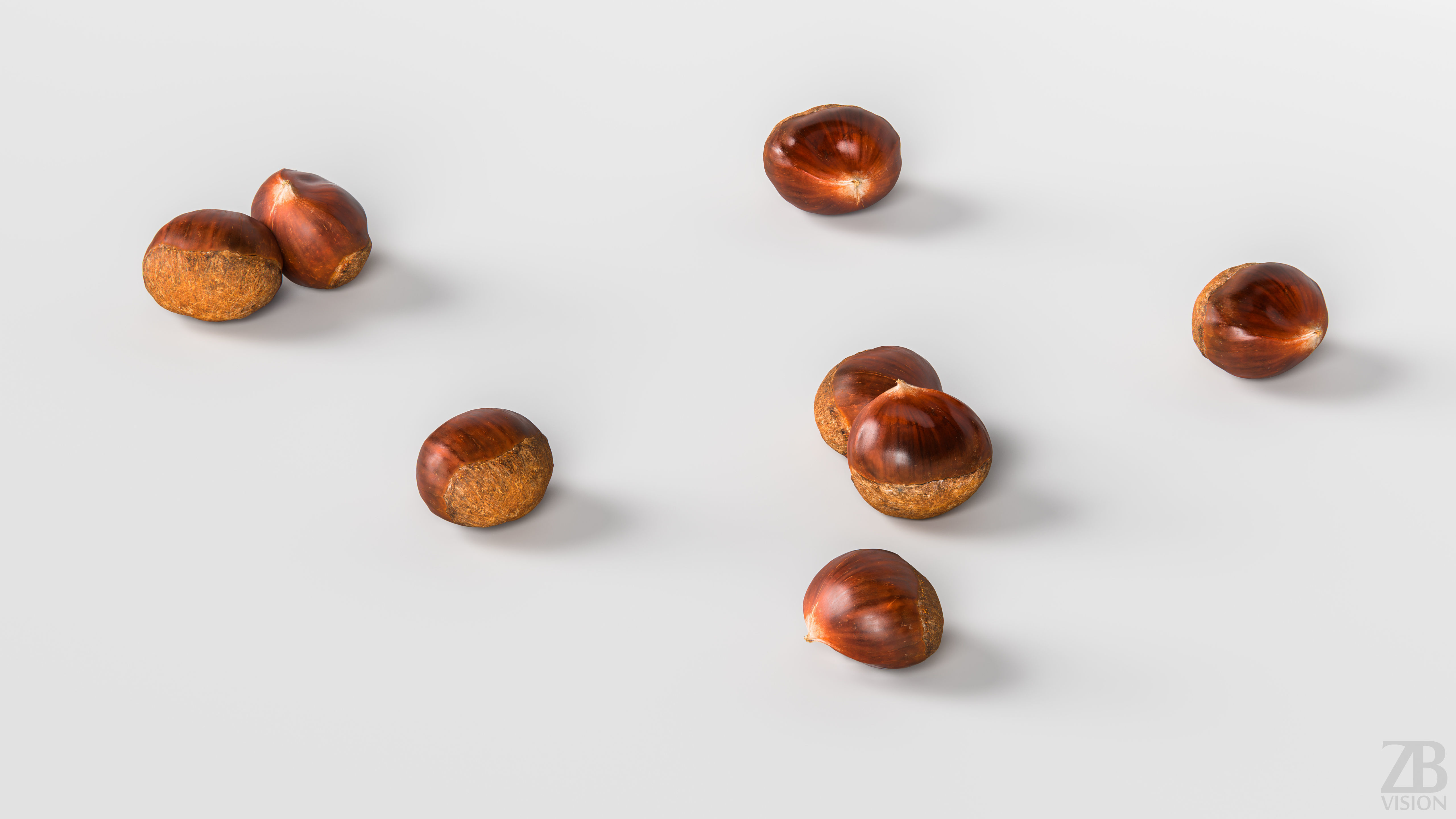 Chestnut 3D model_2