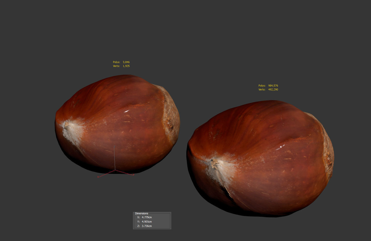 Chestnut 3D model_9