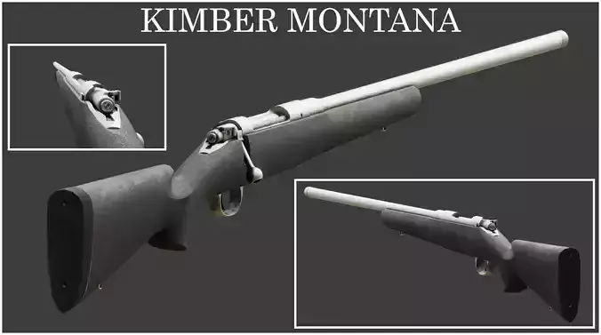 Kimber Montana