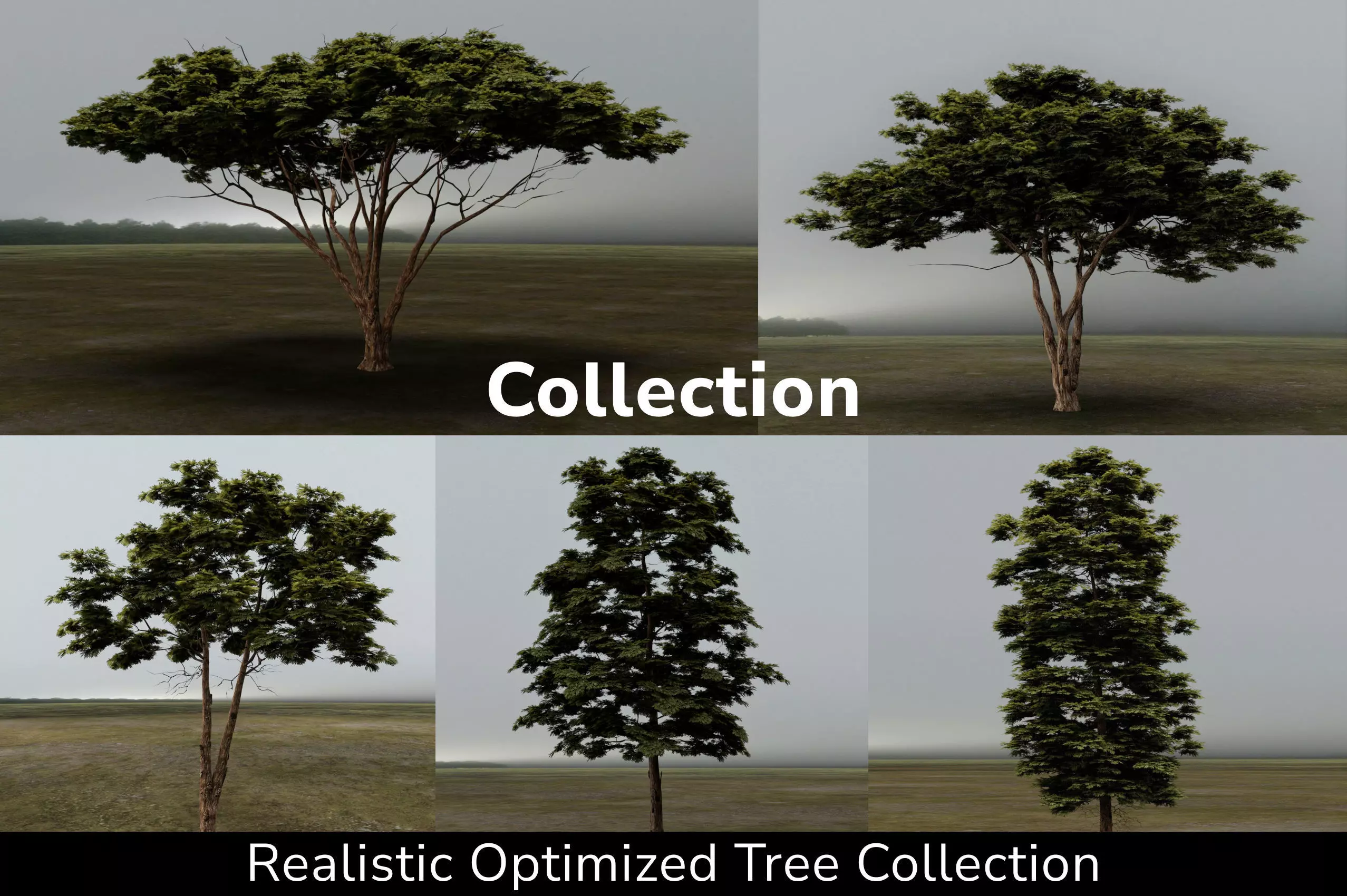 3D Trees tree - tree 3D Model Collection_0