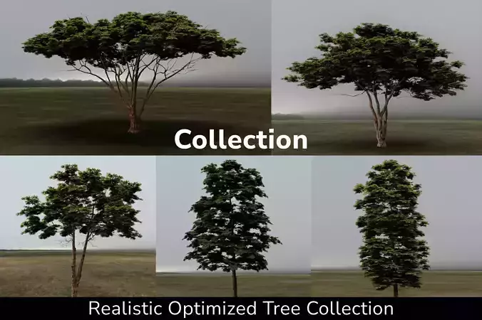 3D Trees tree - tree 3D Model Collection