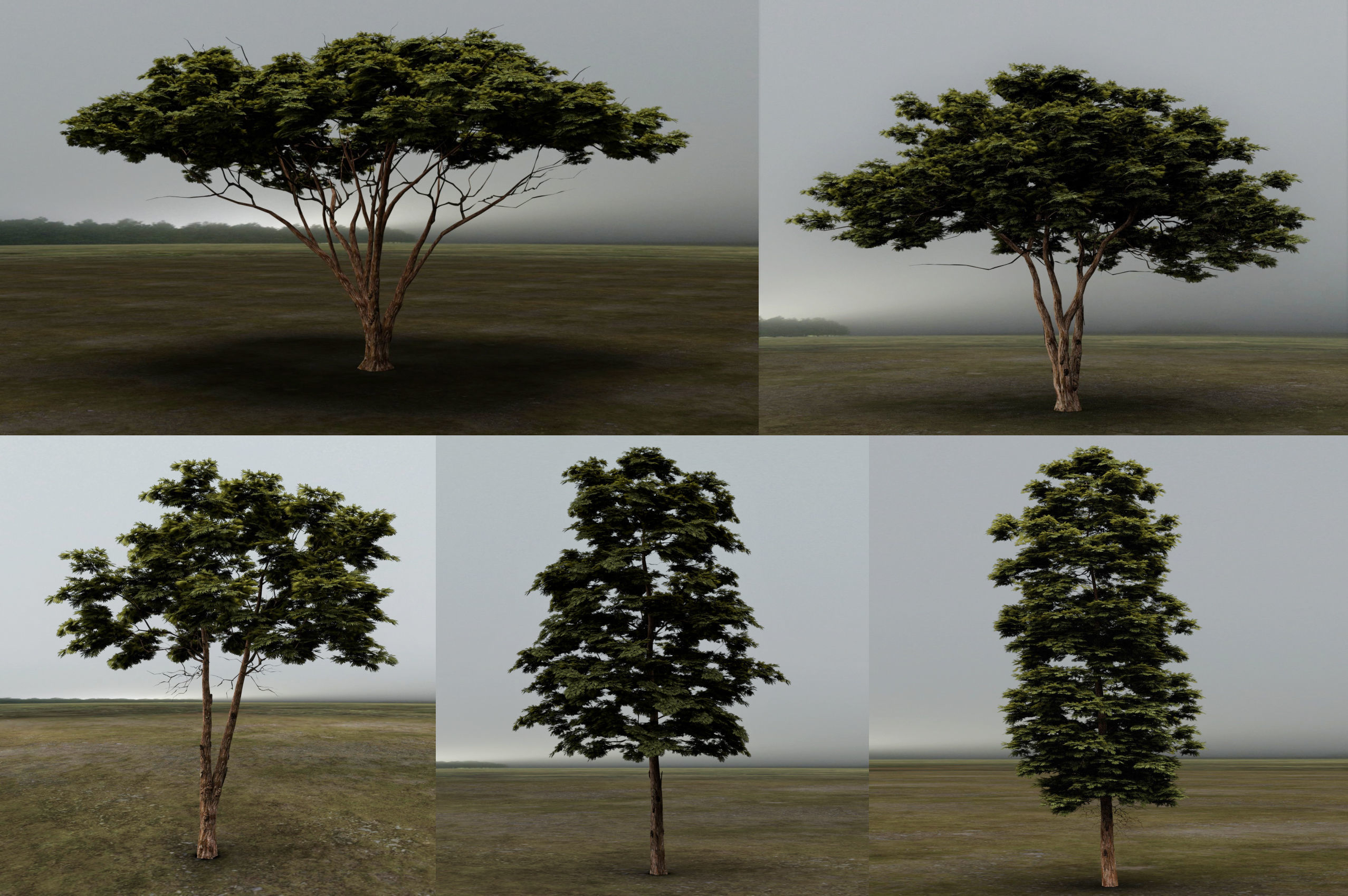 3D Trees tree - tree 3D Model Collection_6