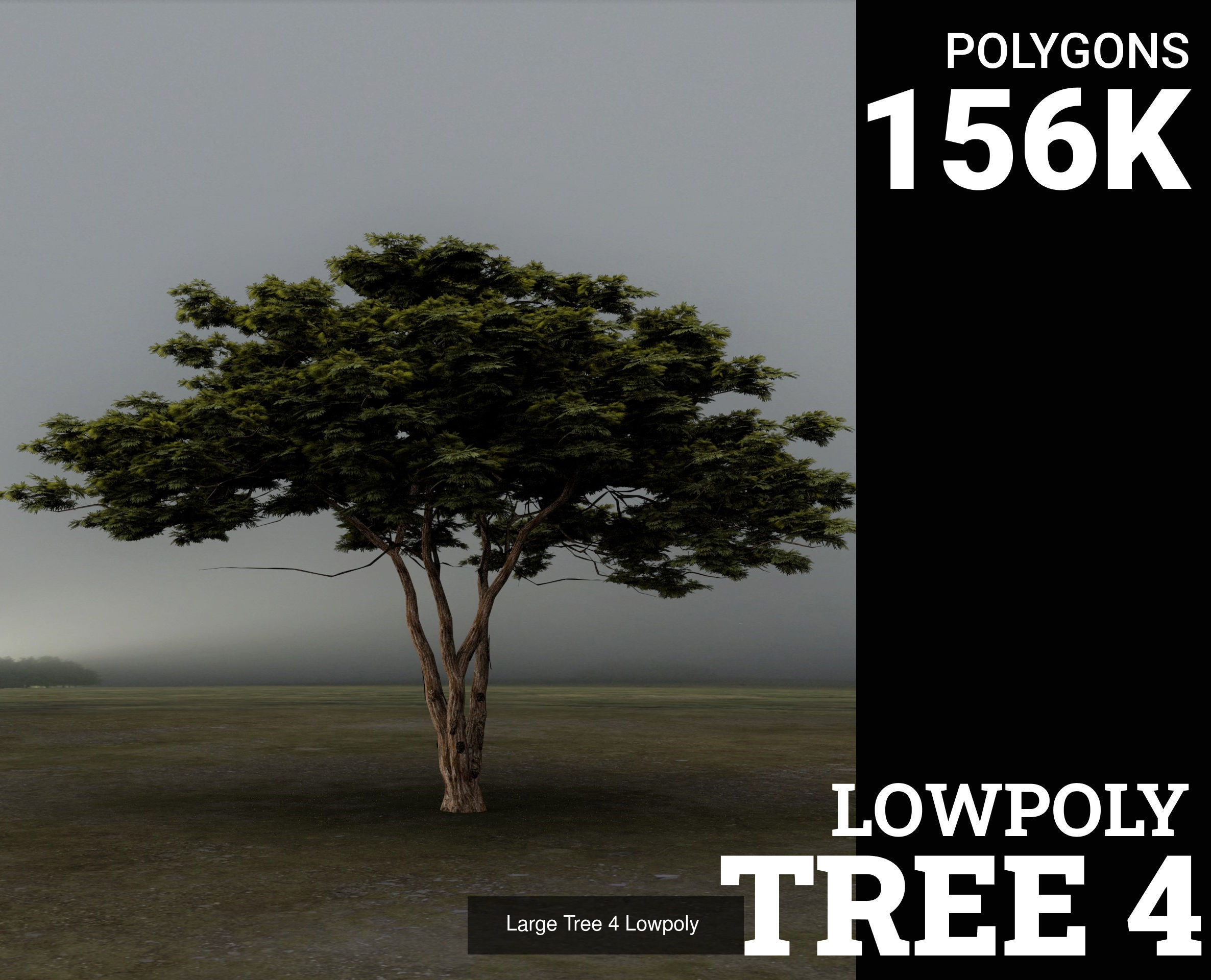 3D Trees tree - tree 3D Model Collection_4