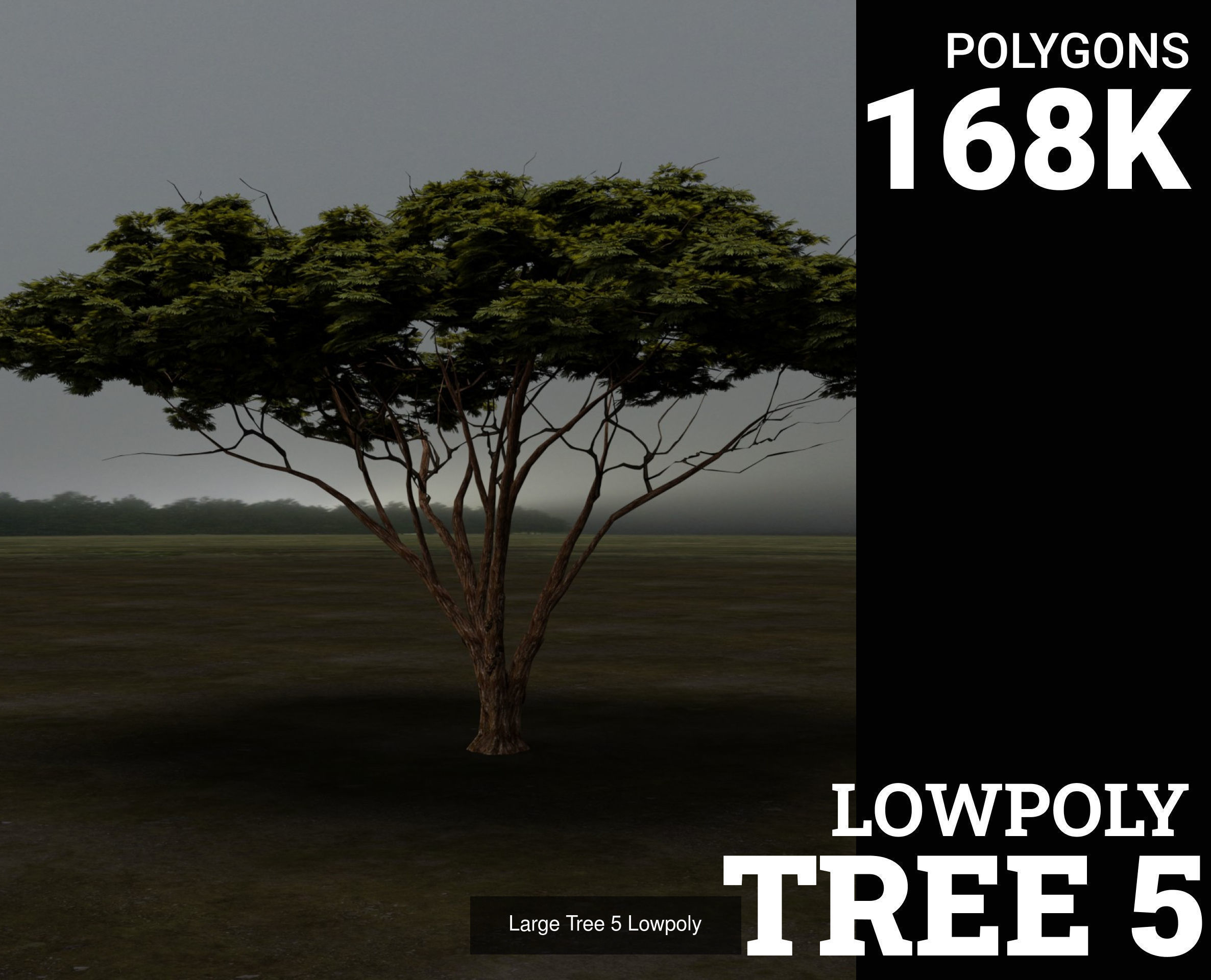 3D Trees tree - tree 3D Model Collection_5