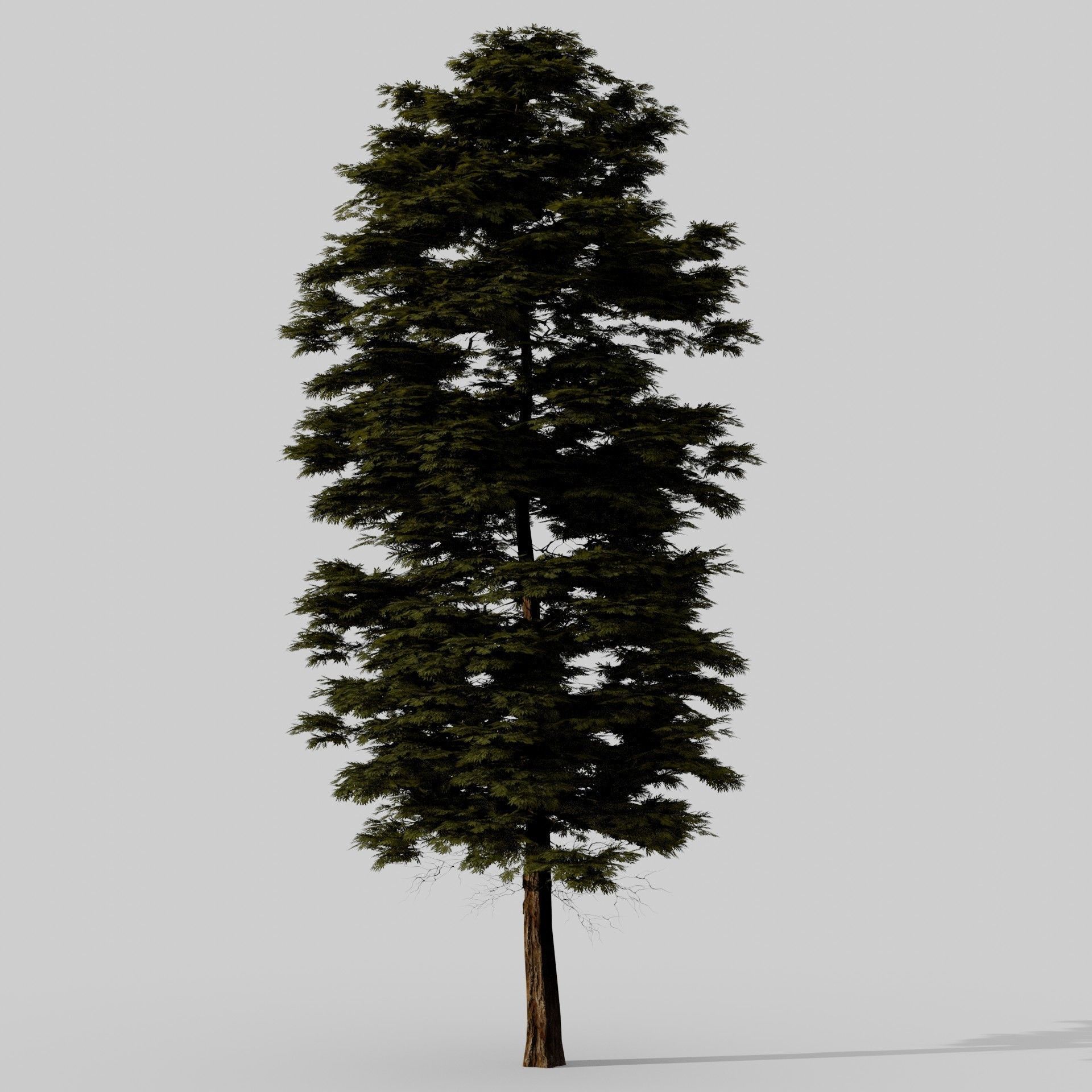 3D Trees tree - tree 3D Model Collection_9