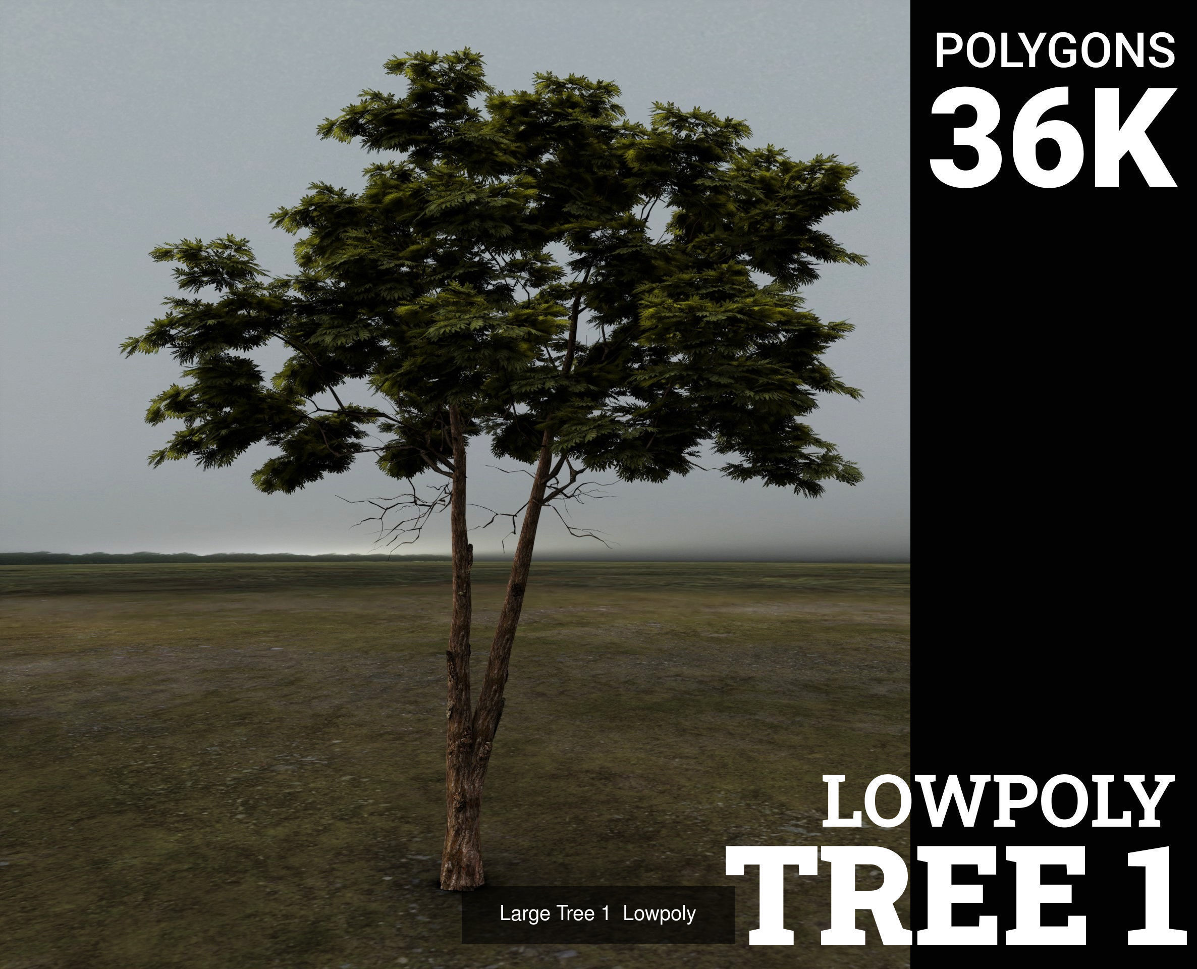 3D Trees tree - tree 3D Model Collection_1