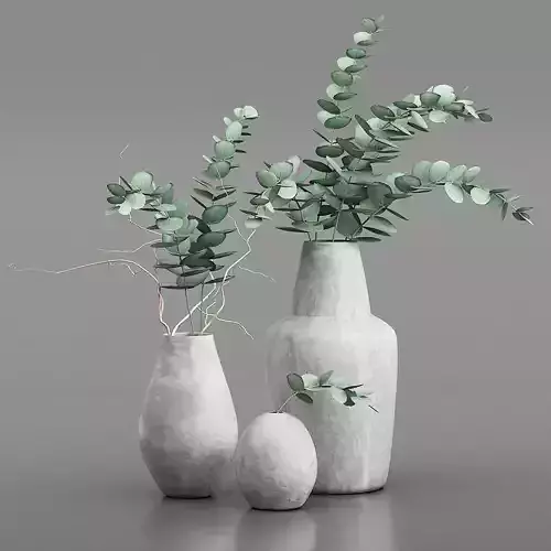 Eucalyptus Bouquets in Vases