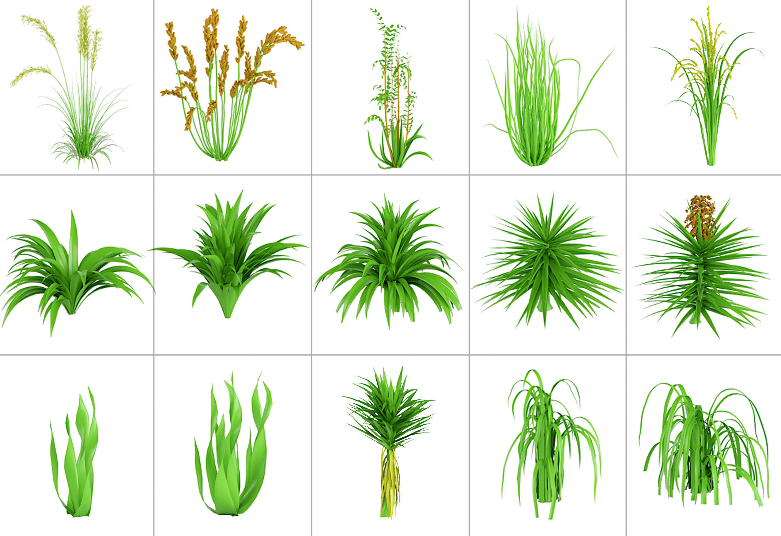 101 Plant IMM Brushes plus 3D Models 3D model_8