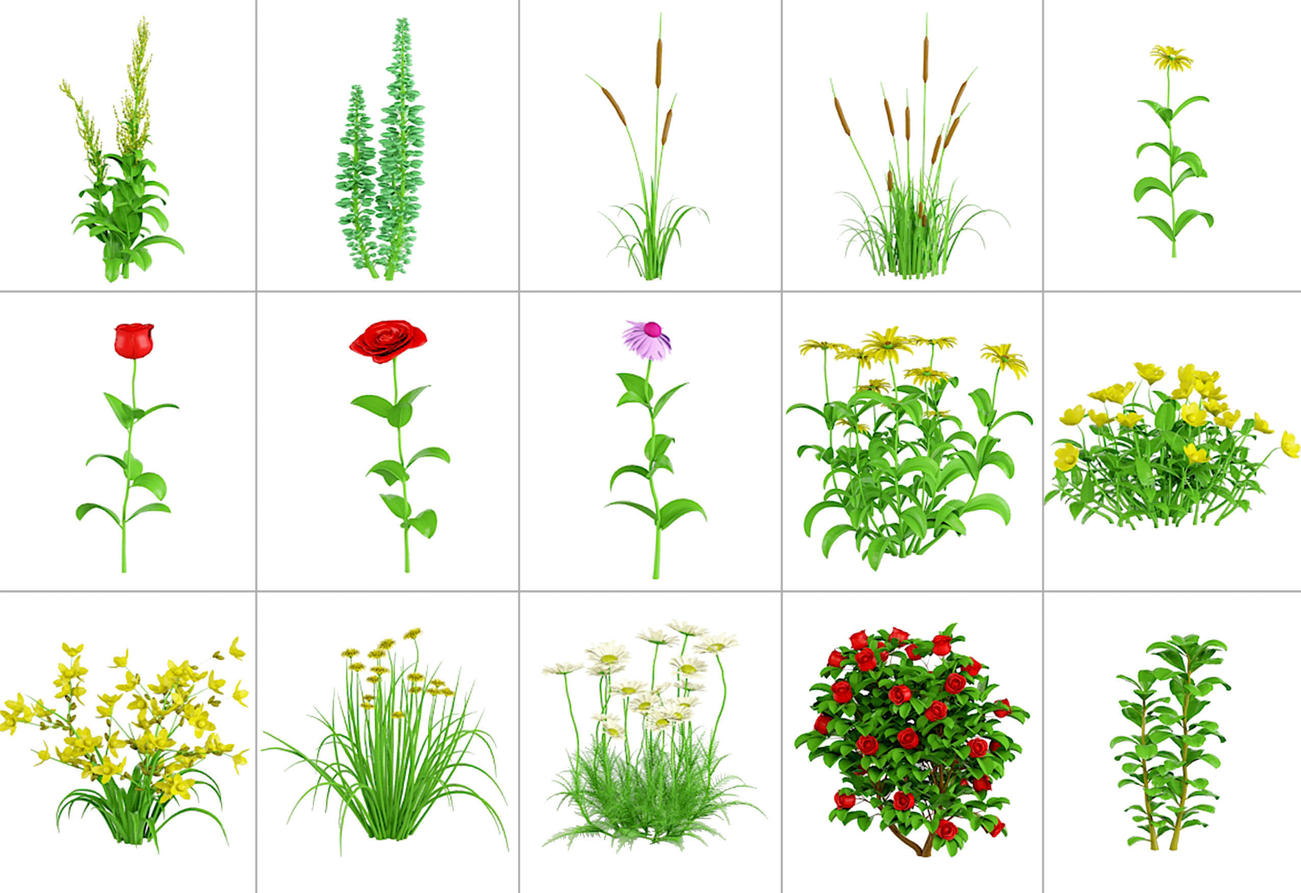 101 Plant IMM Brushes plus 3D Models 3D model_11