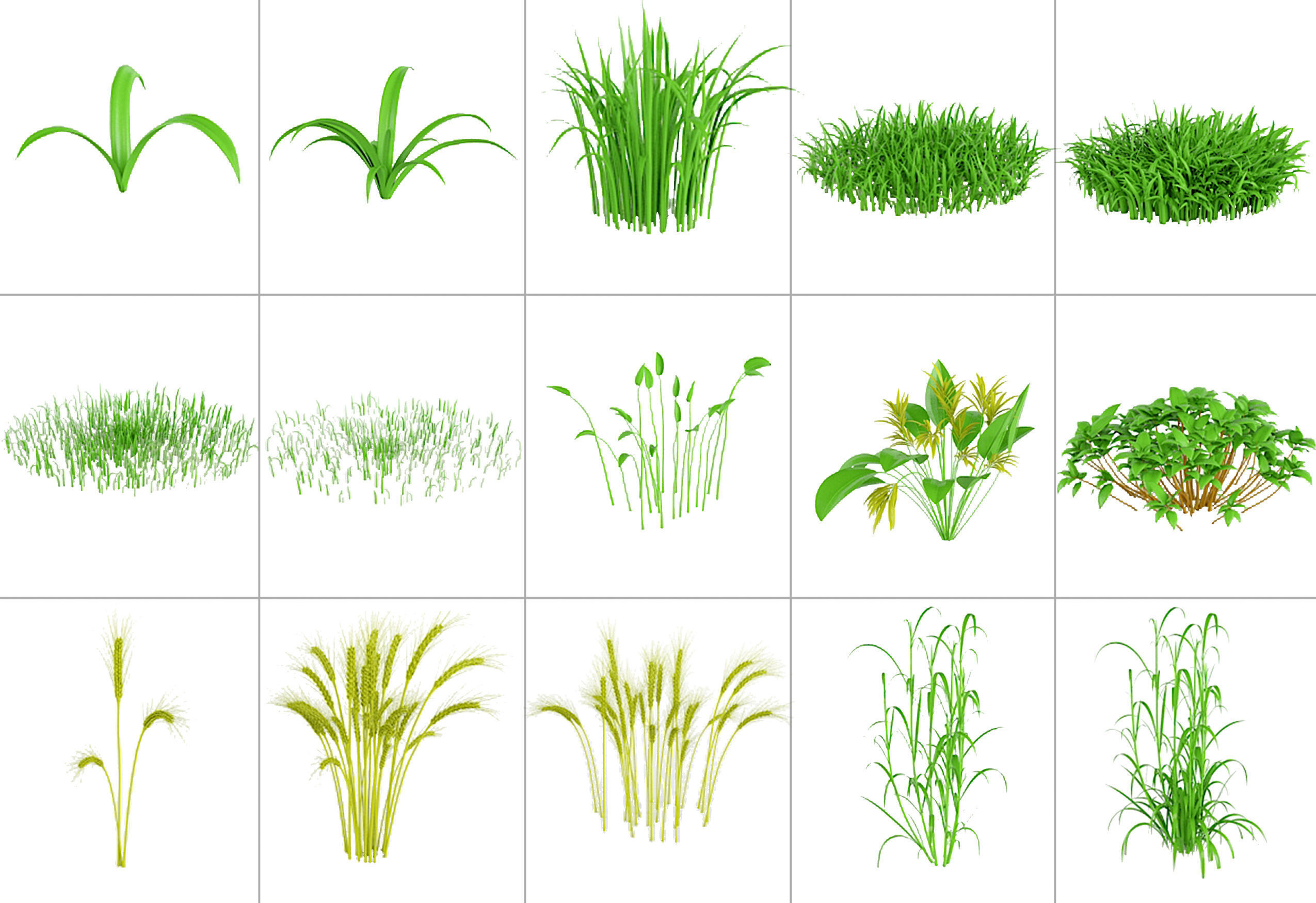 101 Plant IMM Brushes plus 3D Models 3D model_7