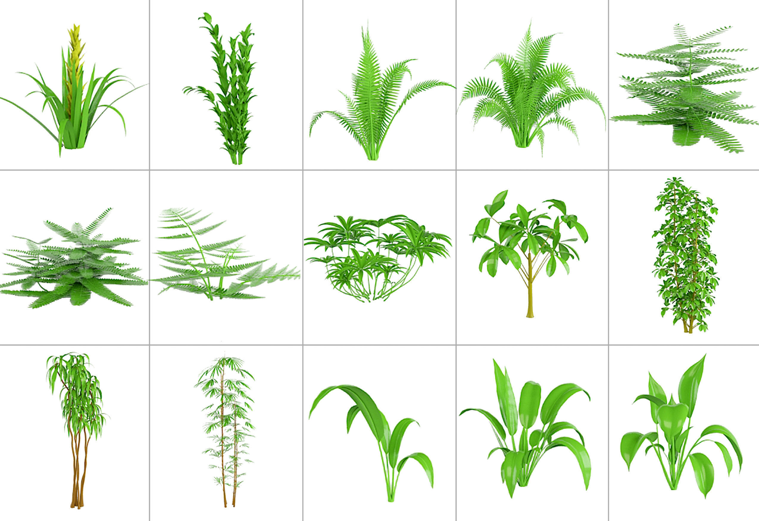 101 Plant IMM Brushes plus 3D Models 3D model_9