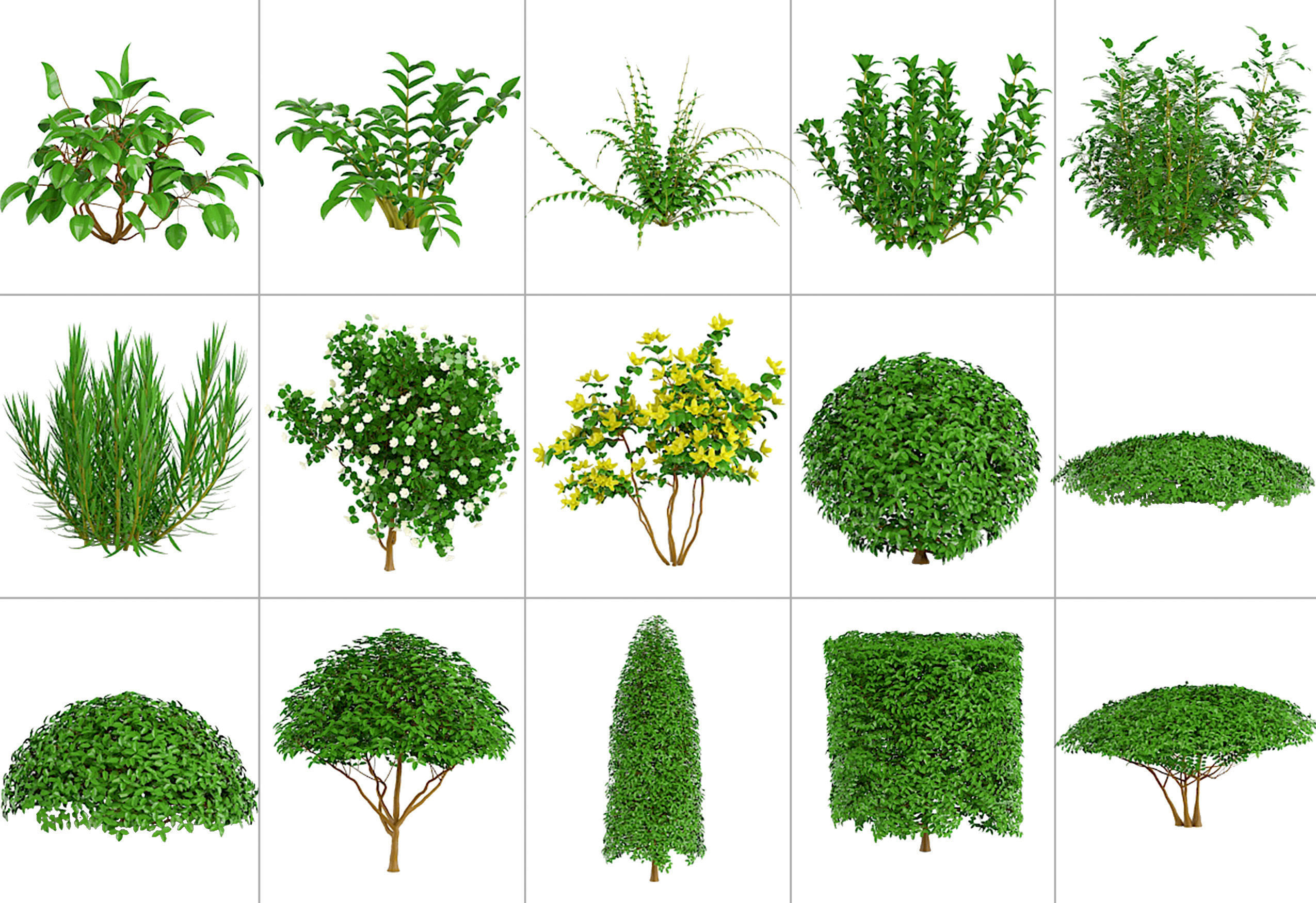 101 Plant IMM Brushes plus 3D Models 3D model_12