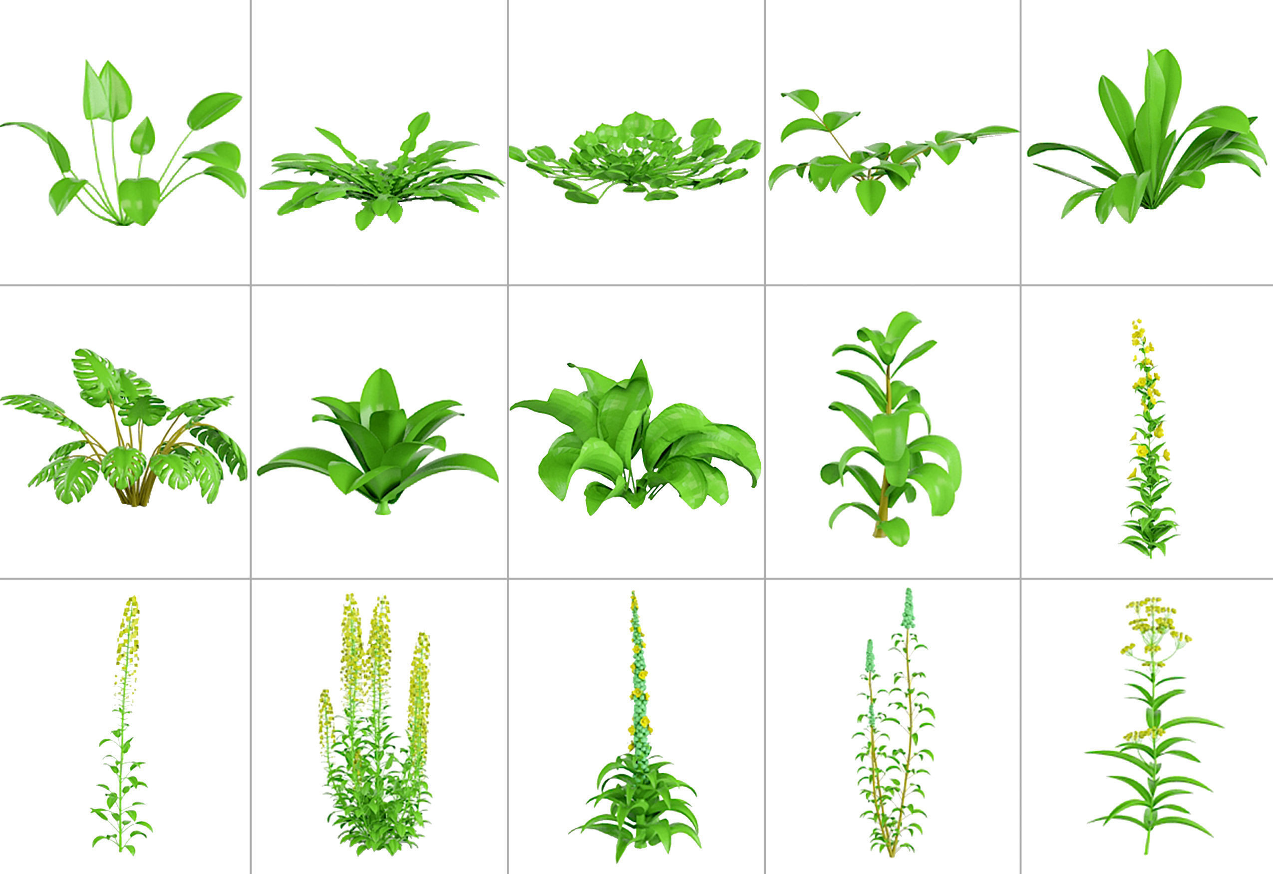 101 Plant IMM Brushes plus 3D Models 3D model_10