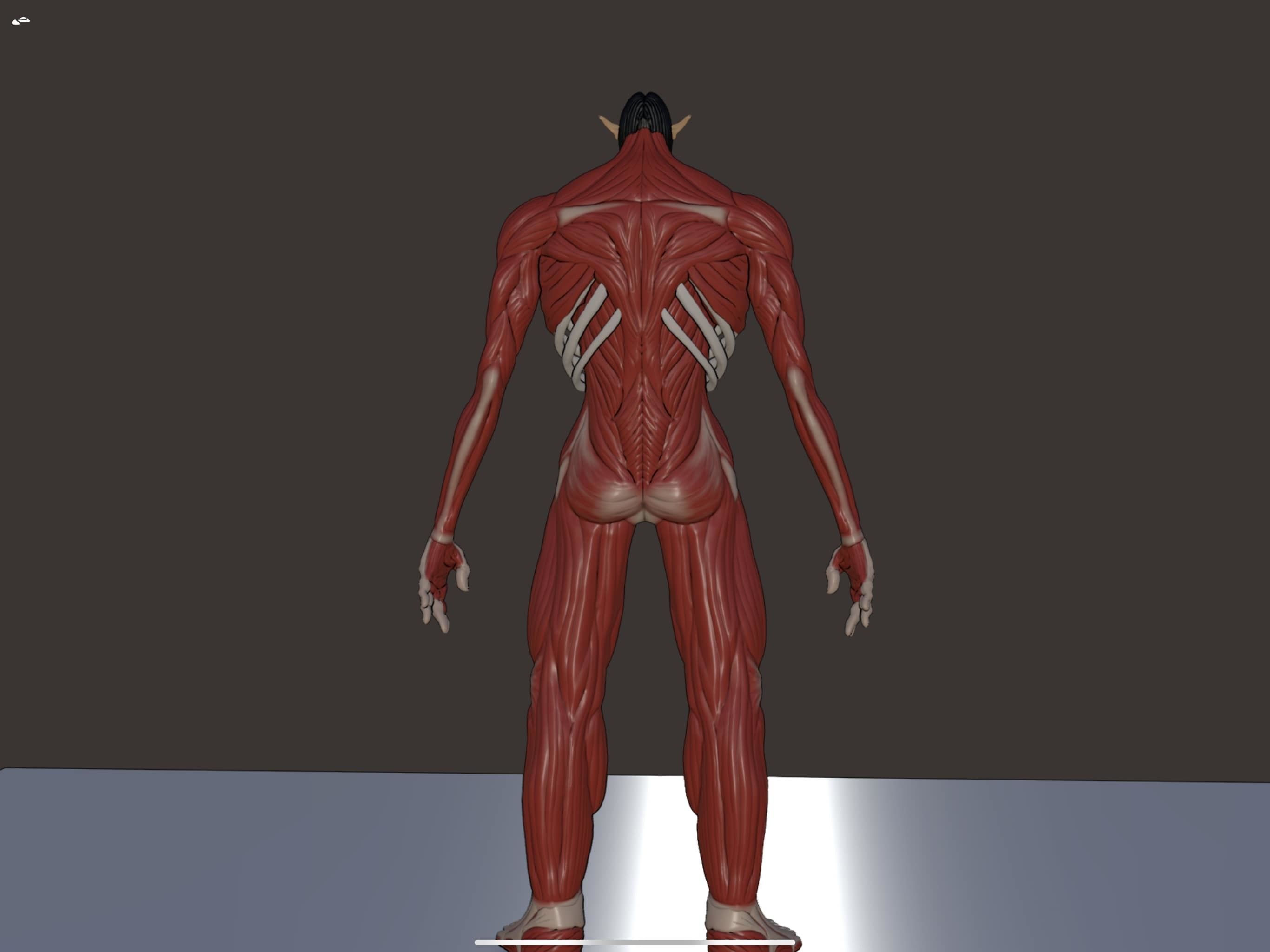 Eren founding titan phase 2 3d model attack on Titan 3D model_3