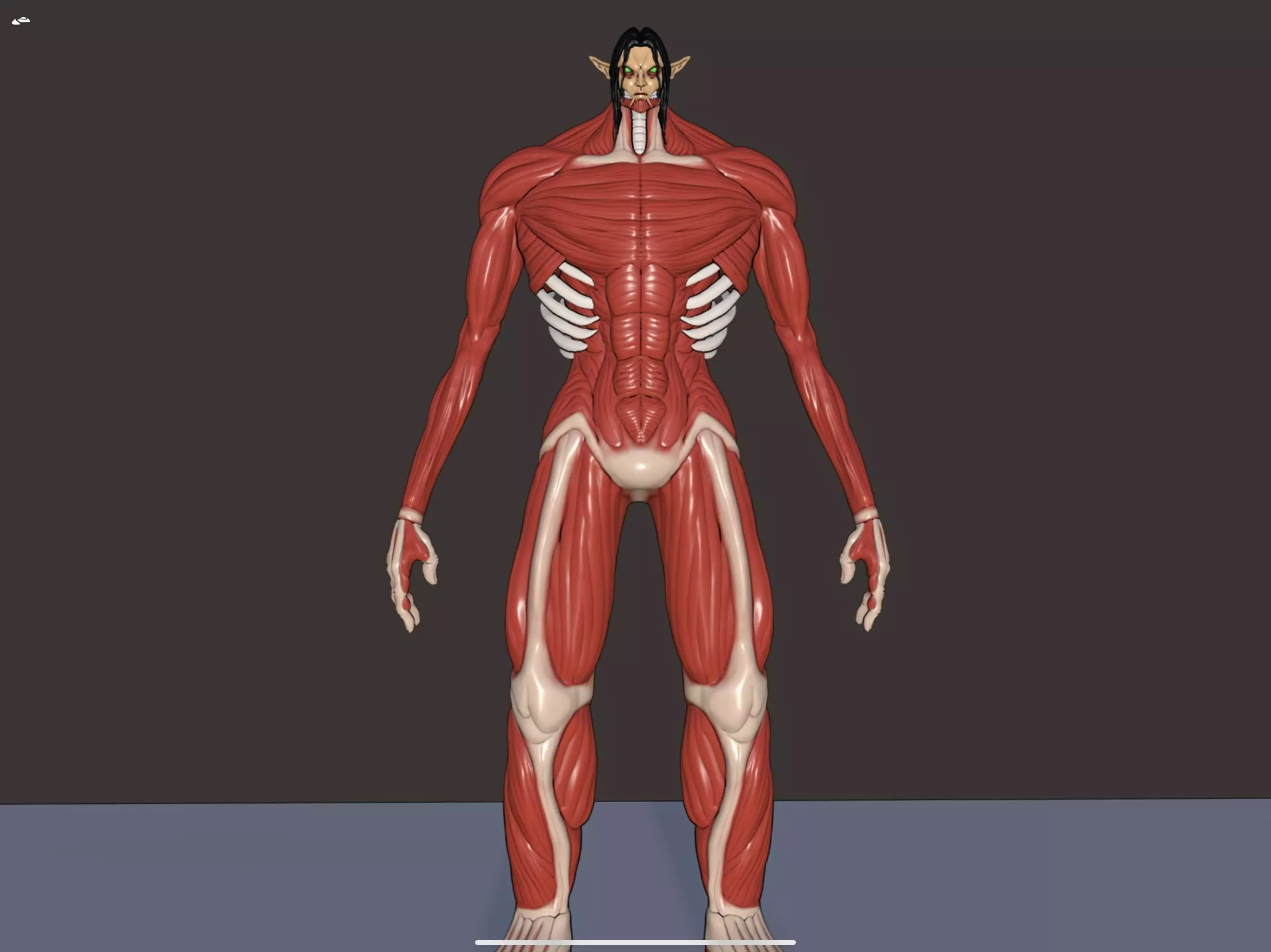Eren founding titan phase 2 3d model attack on Titan 3D model_0