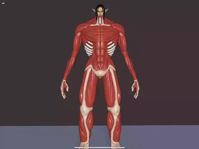 Eren founding titan phase 2 3d model attack on Titan 3D model
