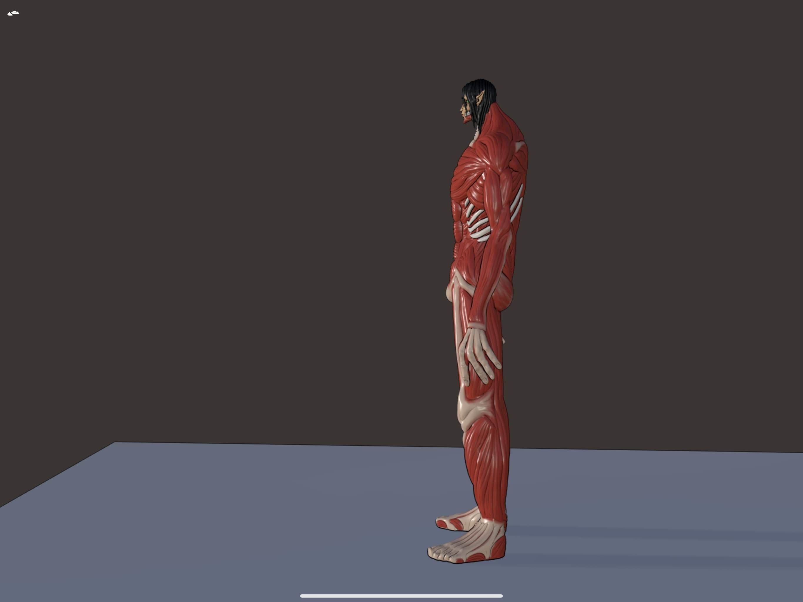 Eren founding titan phase 2 3d model attack on Titan 3D model_2