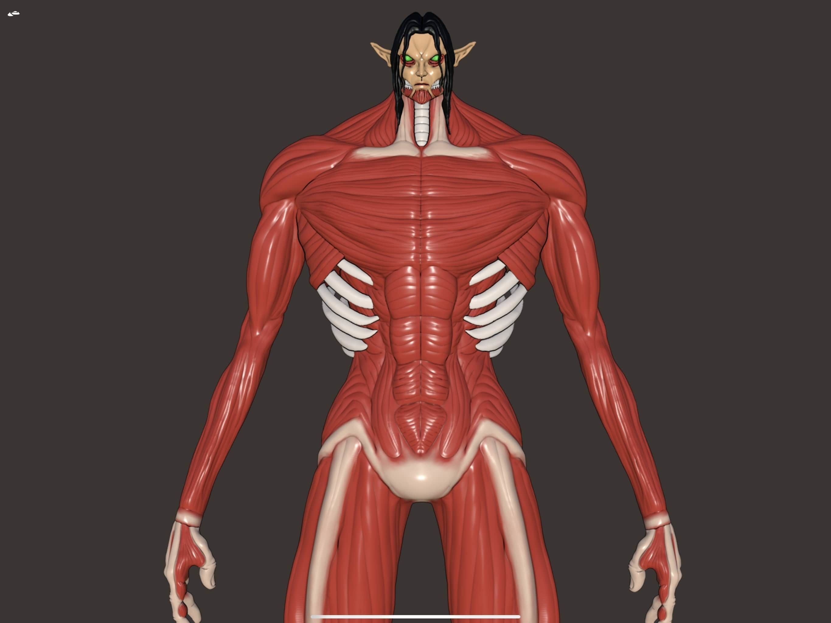 Eren founding titan phase 2 3d model attack on Titan 3D model_4