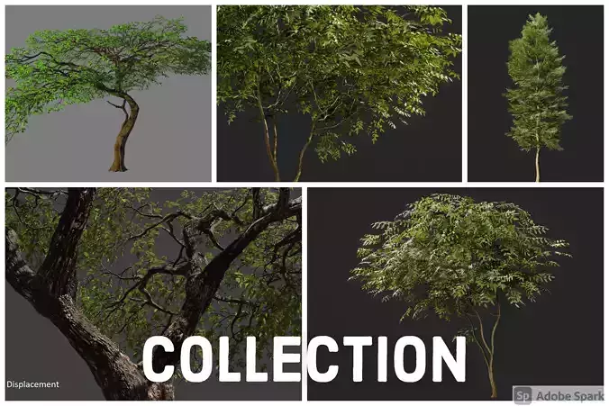 Trees tree 3D Model Collection