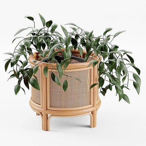 Rattan 12 Planter 3D model
