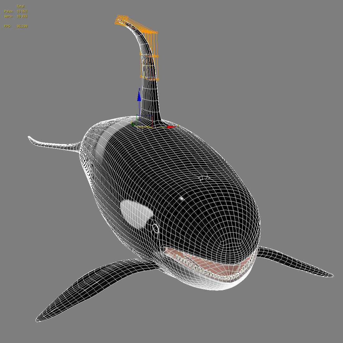 Killer whale Low-poly 3D model_11
