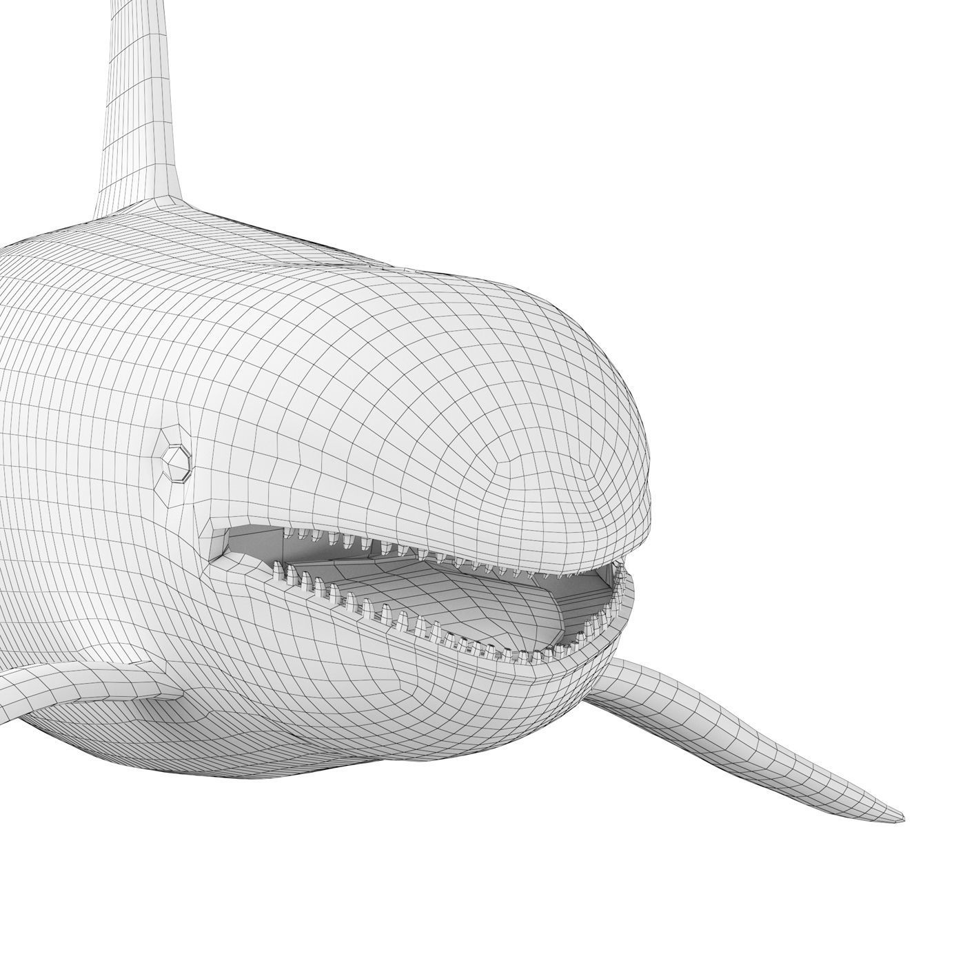 Killer whale Low-poly 3D model_9