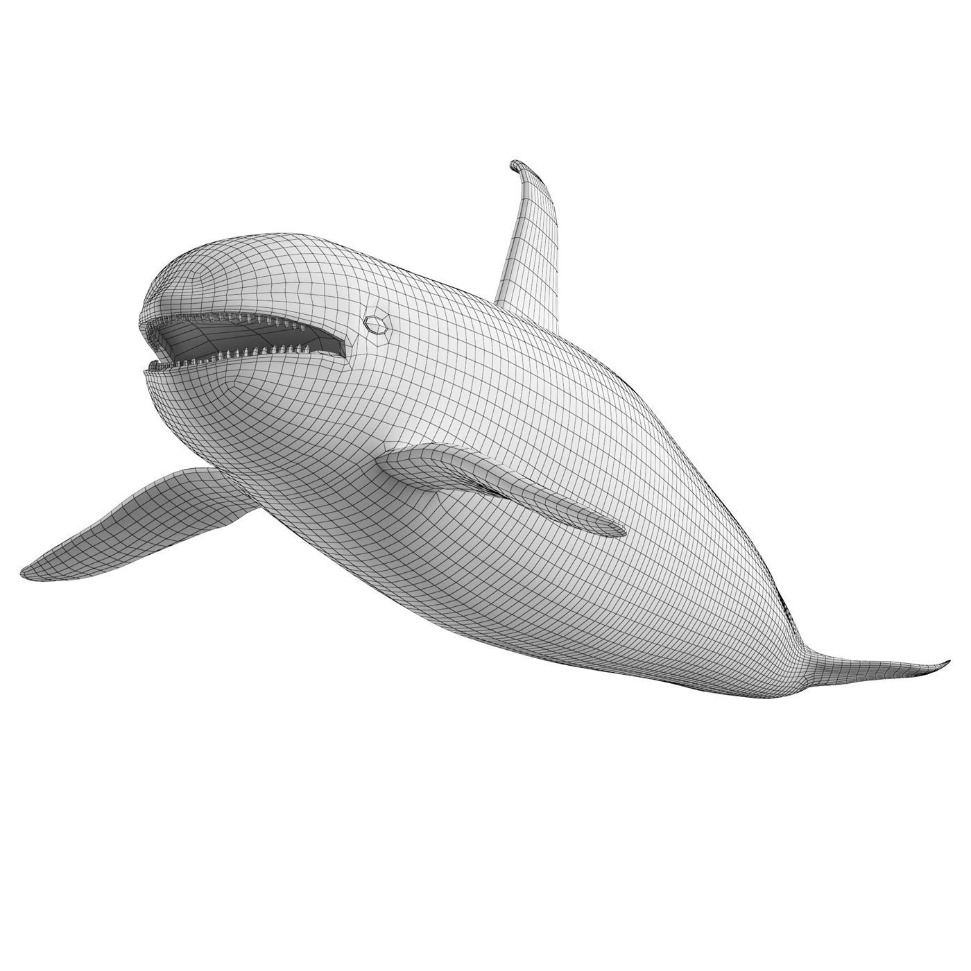 Killer whale Low-poly 3D model_10